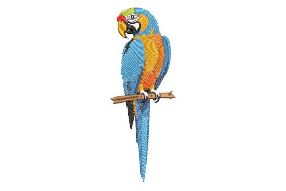 Beautiful Parrot
