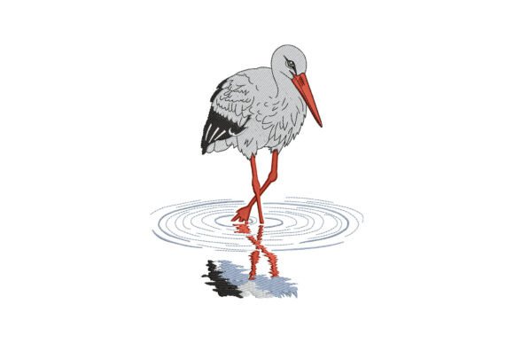 Beautiful Stork