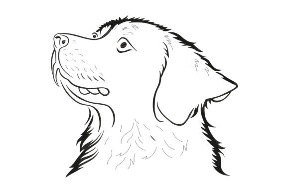 Graceful Golden Retriever Dog