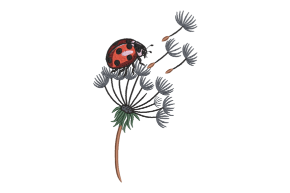 Ladybug on Dandelion