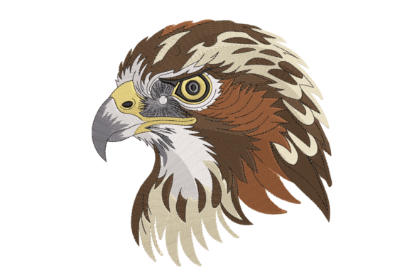 Majestic Hawk Head